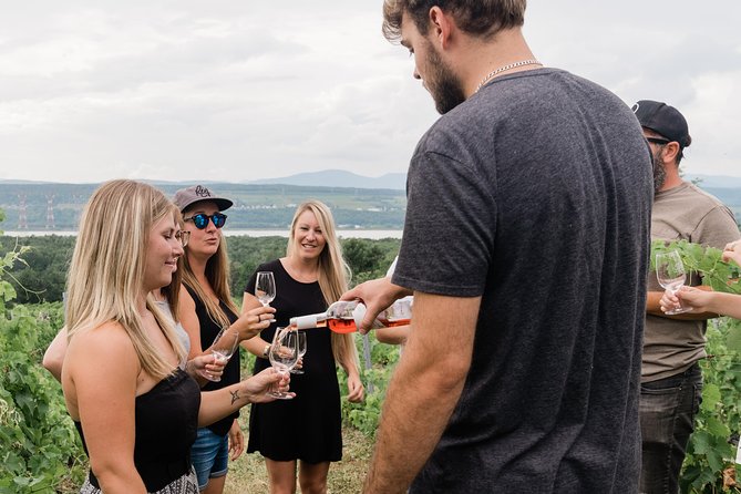 Wine Tasting on Île D'orléans - Purchasing Souvenir Bottles