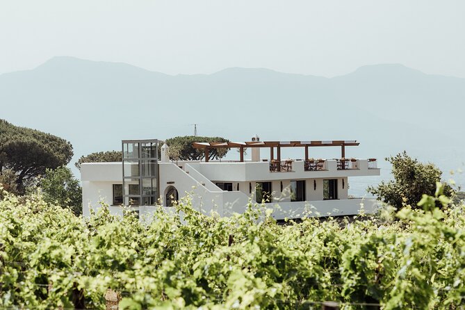 Wine Tasting on the Slopes of Vesuvius From Naples With Lunch - Included Meals and Wines