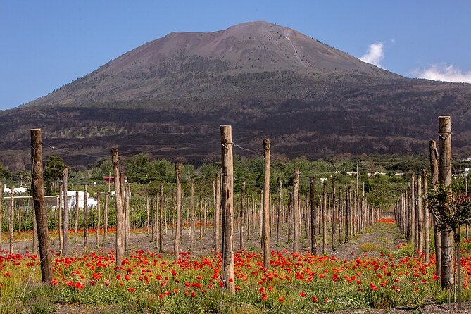 Wine Tasting on the Slopes of Vesuvius From Naples With Lunch - Additional Considerations