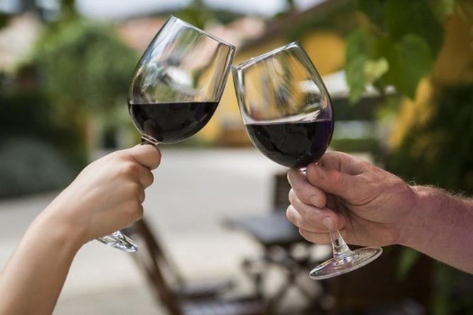 Wine Tasting - Private Half-Day Tour - Sample Menu
