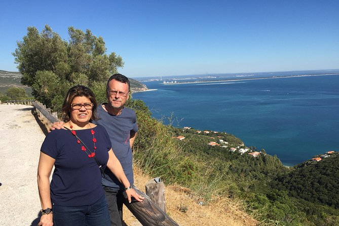 Wine Tasting - Private Half-Day Tour - Reviews and Feedback