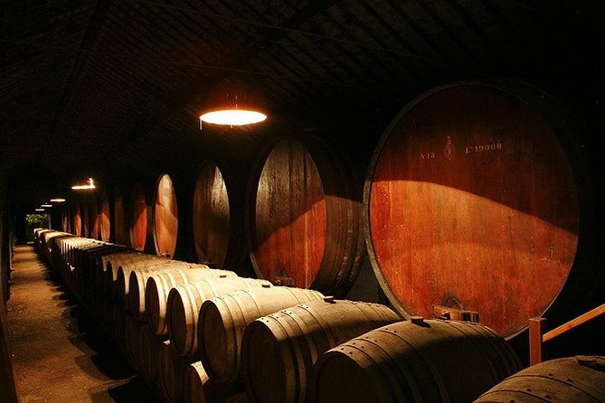 Wine Tasting - Private Half-Day Tour - Getting There and Back