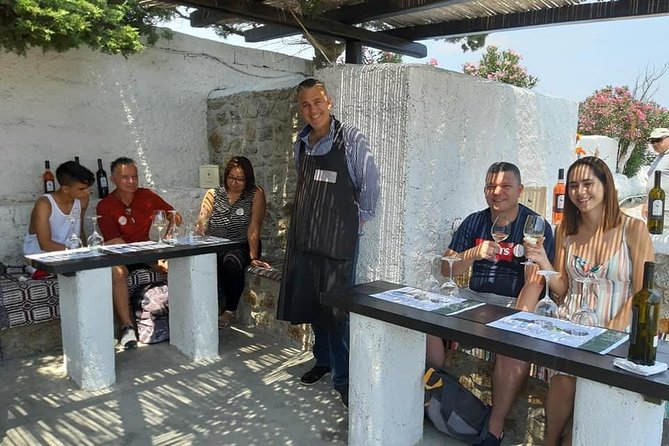 Wine Tasting Tour at a Traditional Farm in Mykonos - Guided Tasting of 4 Greek Wines