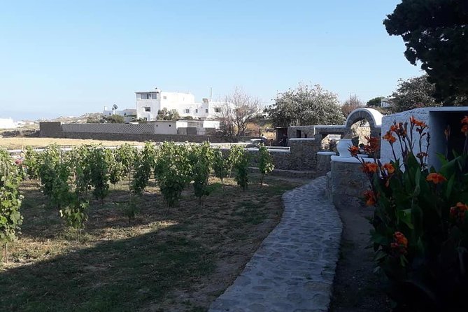 Wine Tasting Tour at a Traditional Farm in Mykonos - Midday or Evening Tasting Options Available