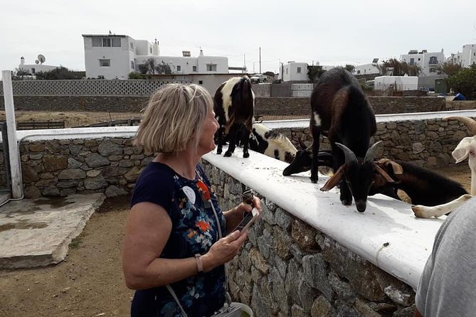 Wine Tasting Tour at a Traditional Farm in Mykonos - Booking and Cancellation Policies Explained