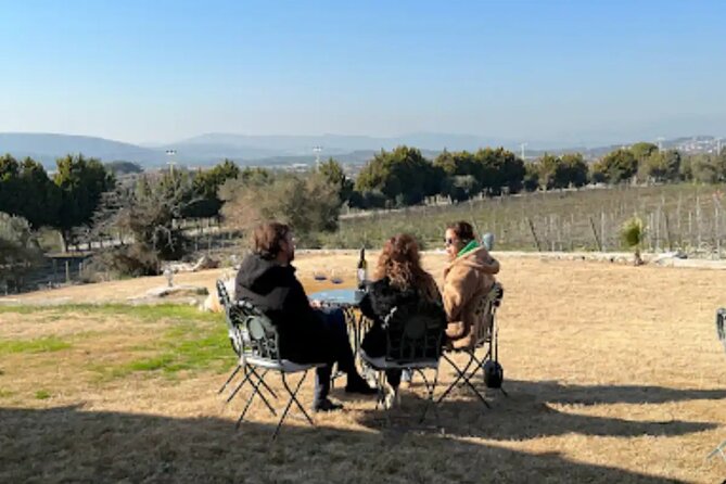 Wine Tasting Tour at Two Wineries in Urla Turkey - What to Expect During the Tour
