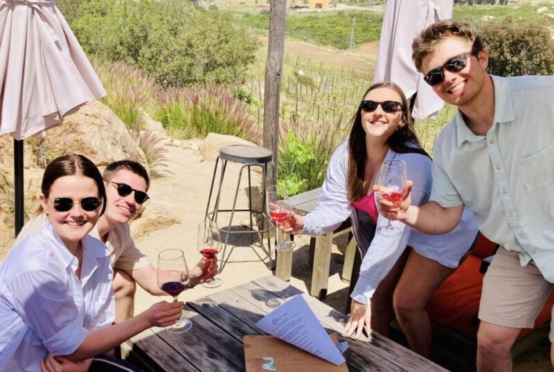 Wine Tasting Tour for Cruise Ship Visitors. All Inclusive! - Itinerary and Experience