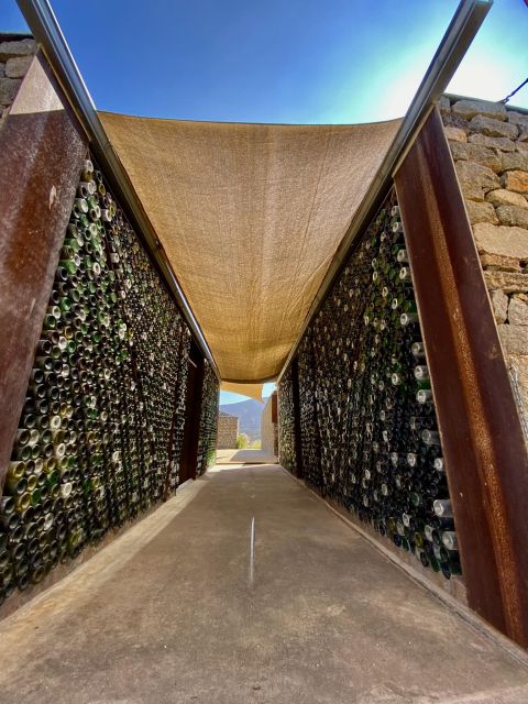 Wine Tasting Tour for Cruise Ship Visitors. All Inclusive! - Included in the Tour