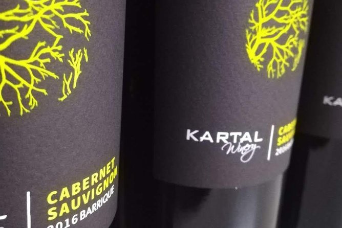 Wine Tasting Tour in Family Winery Kartal in Skopje - Guest Reviews