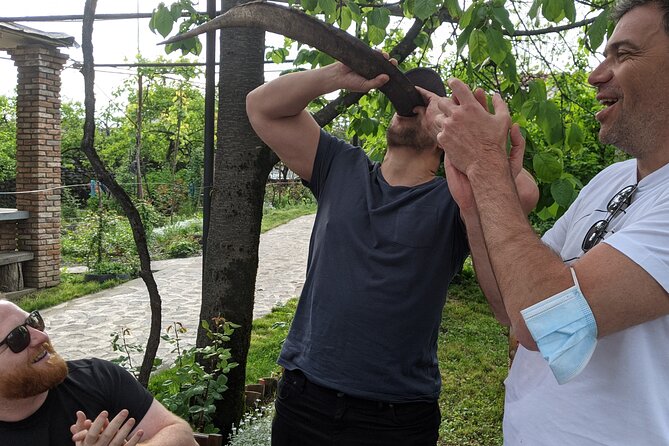 Wine Tasting Tour in Georgias Cradle of Wine - Inclusions