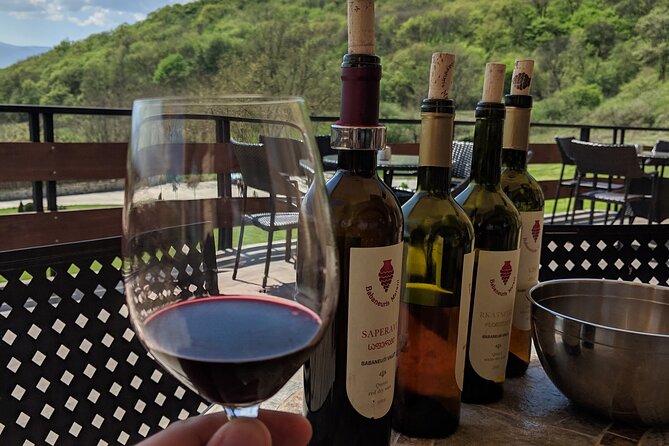 Wine Tasting Tour in Georgias Cradle of Wine - Schedule and Accessibility
