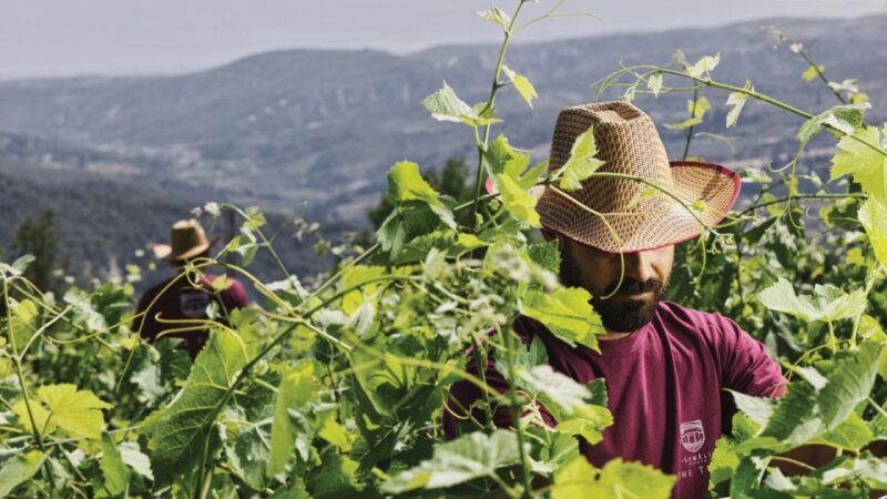 Wine Tasting Tour in Nemea and Visit Tour in Nafplio - Visiting the Bourtzi Castle