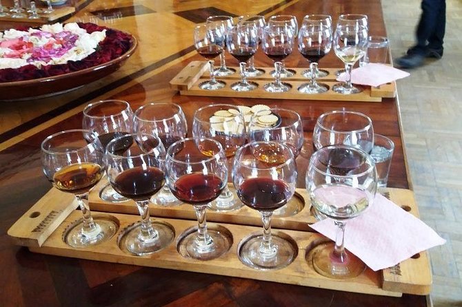 Wine Tasting Tour in Samarkand - Tour Inclusions and Logistics