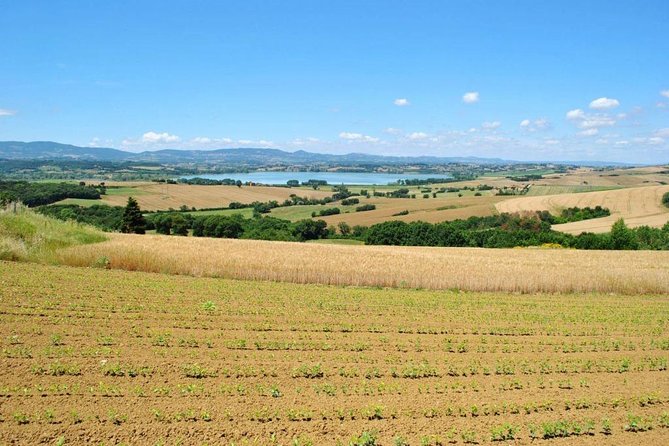 Wine Tasting & Tour Premium - Highlights of the Tour