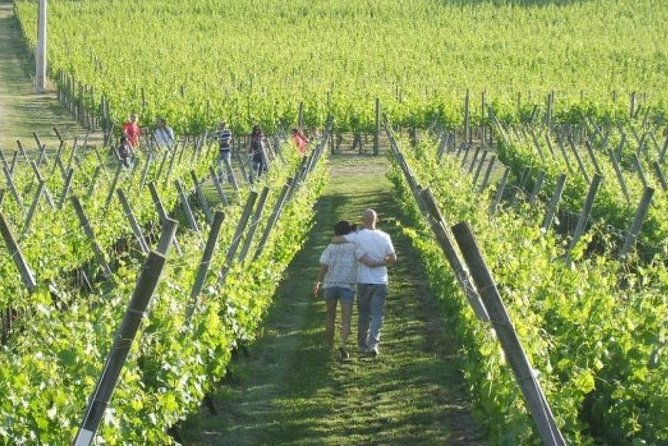 Wine Tasting & Tour Premium - Traveler Reviews and Recommendations