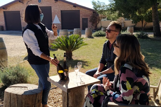 Wine Tasting Tour (Private Tour) - Reviews