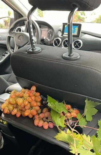 Wine Tasting Tour - Cretan Winemaking Tradition
