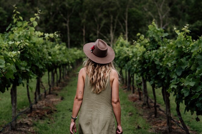 Wine Tasting Tour to Tamborine Mountain - Guided Experience