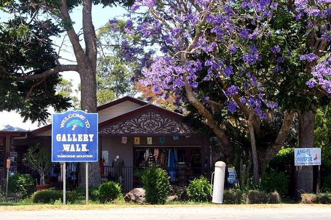 Wine Tasting Tour to Tamborine Mountain - Time for Shopping