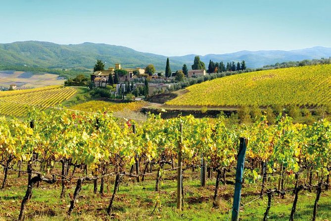 Wine Tasting & Tuscany Countryside, San Gimignano & Volterra - Pickup and Drop-off