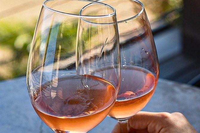 Wine Tasting Valle De Guadalupe & Casa Frida - Meeting and Pickup Information