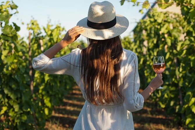 Wine Tasting & Vineyards Escape Day Tour From Tirana - Key Points
