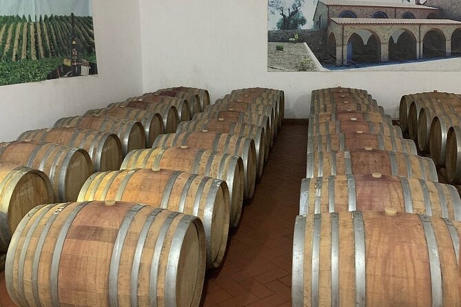 Wine Tasting & Vineyards Escape Day Tour From Tirana - Wine, Raki, and Olive Oil Tasting