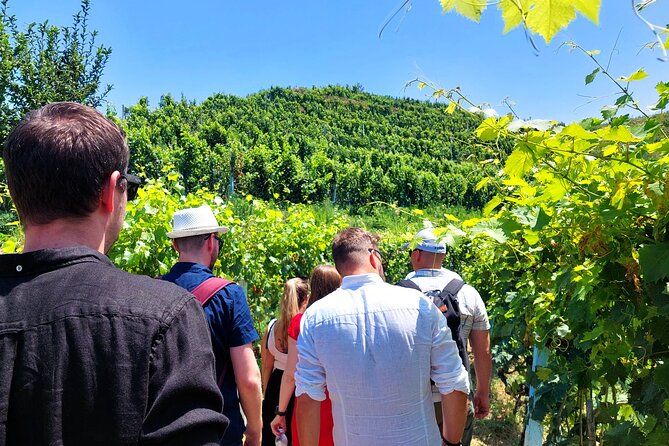 Wine Tasting & Vineyards Tour From Durres - Good To Know
