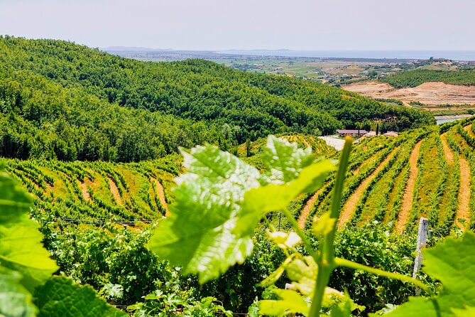 Wine Tasting & Vineyards Tour From Durres - Logistics and Meeting Details
