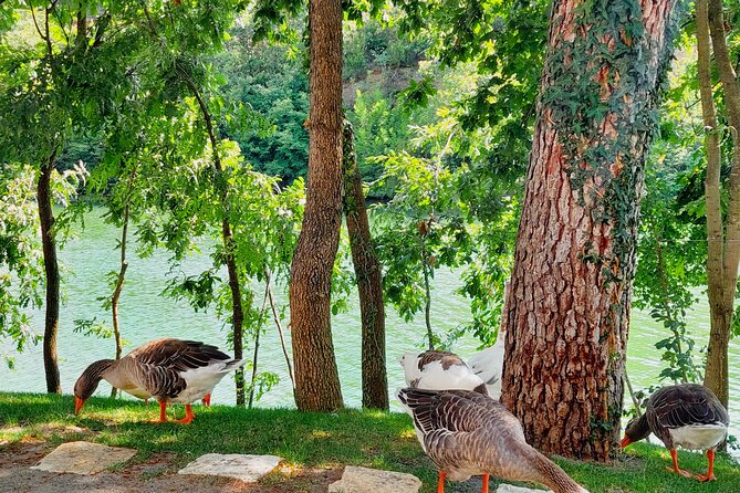 Wine Tasting & Vineyards Tour From Durres - Pricing and Availability