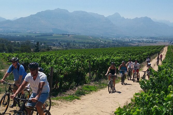 Wine Tasting With Bike Tour in Castiglione Di Sicilia - Booking Details