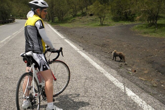 Wine Tasting With Bike Tour in Castiglione Di Sicilia - What to Expect
