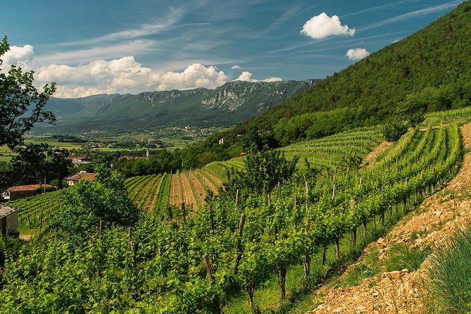 Wine Tasting With Cold Cuts - Meeting and Pickup