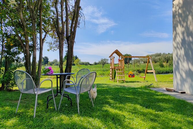 Wine Tasting With Local Food in Lazise Countryside - Wines Offered