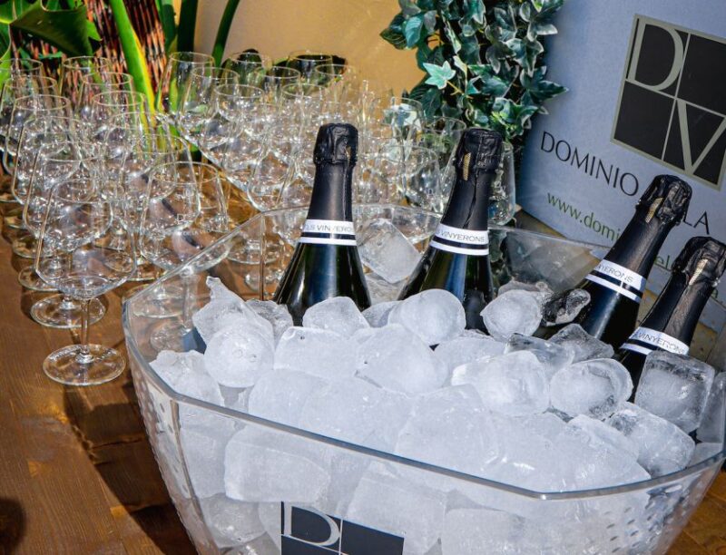 Wine Tasting With Professional Sommelier in Centre Valencia - Aperitif and Tasty Snacks