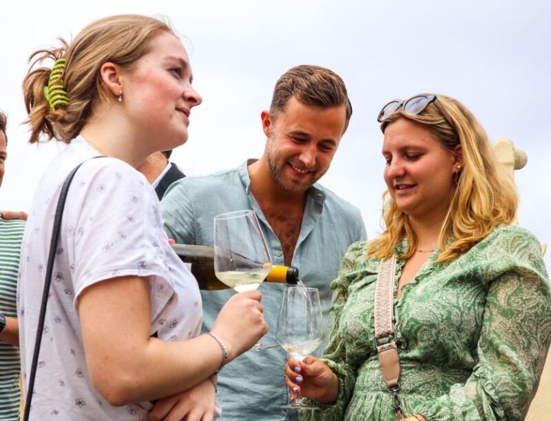 Wine Tasting With Professional Sommelier in Centre Valencia - Artisanal Wine Exploration