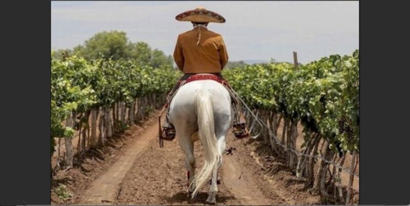 Wine Tour and Horseback Ride in Guanajuato City - Inclusions