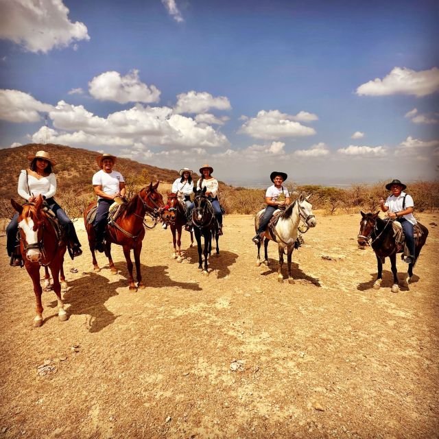 Wine Tour and Horseback Ride in Guanajuato City - Culture and History