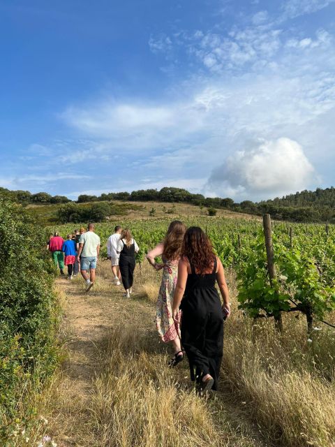 Wine Tour and Lunch or Dinner at Our Vineyard - Culinary Offerings