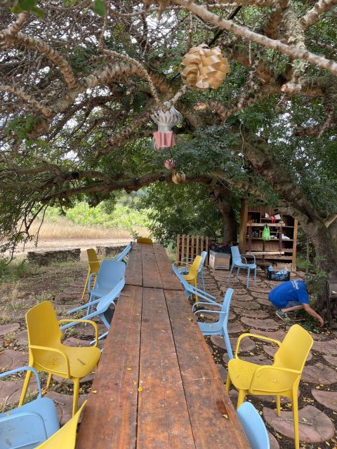 Wine Tour and Lunch or Dinner at Our Vineyard - Customer Reviews