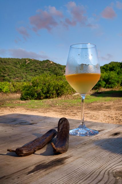 Wine Tour and Lunch or Dinner at Our Vineyard - Organic Winemaking