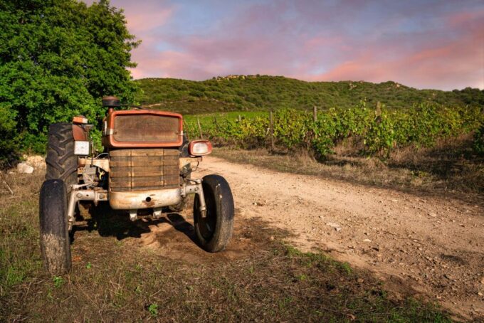 Wine Tour and Lunch or Dinner at Our Vineyard - Transportation Options