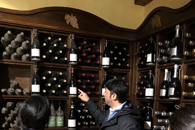 Wine Tour and Mount Etna Combo Private Experience From Taormina - Volcanic Landscape Exploration