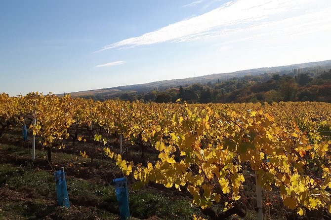 Wine Tour and Tasting at Domain FL - Pricing and Cancellation Policy