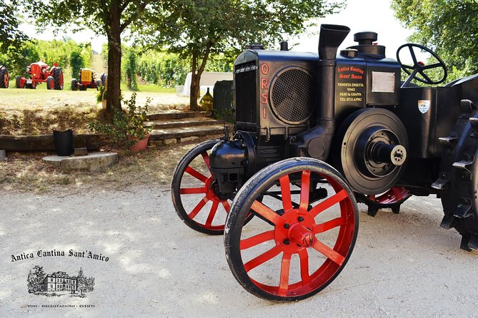 Wine Tour and Tasting at Le Marches Oldest Wine Estate - Meeting and Pickup Details