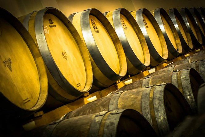 Wine Tour and Tasting in Nocciano - Knowledgeable and Personalized Guidance
