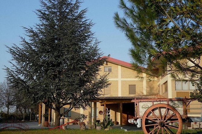 Wine Tour and Tasting in Nocciano - Tour Logistics and Booking