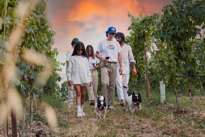 Wine Tour and Tasting of Lugana Wines in Desenzano - Customer Feedback and Ratings