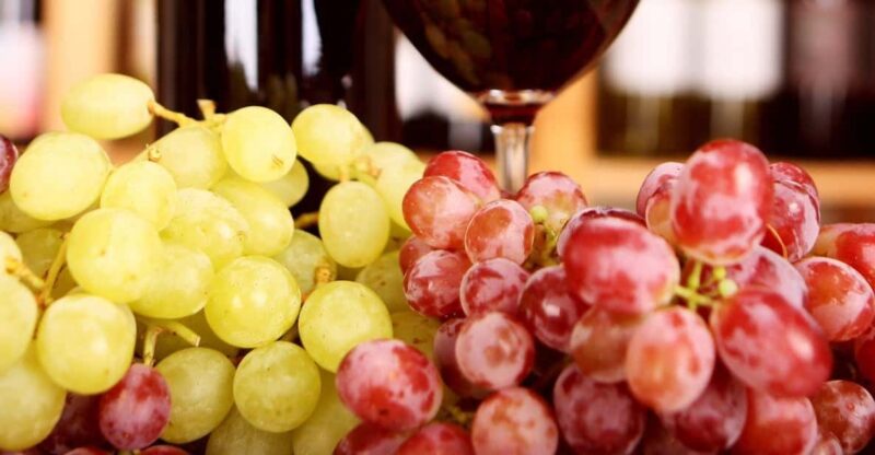 Wine Tour and Tasting- Small Group Tour - Key Points
