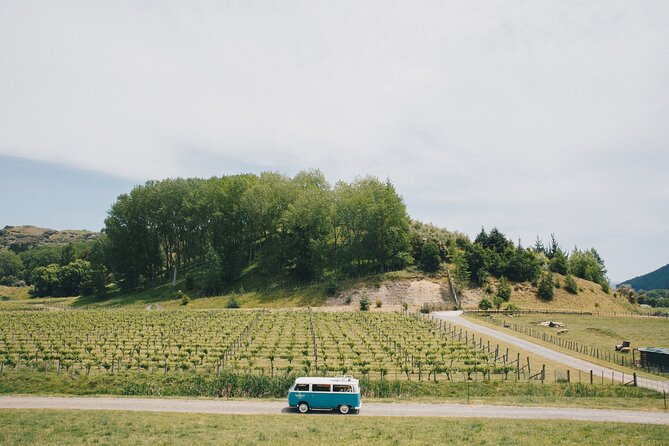 Wine Tour and Tastings in Hawkes Bay - Hawkes Bay Wine Region